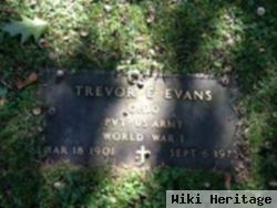 Trevor E Evans