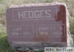 Lucy E Hedges