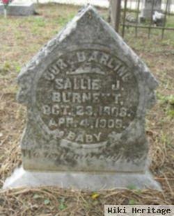 Sallie J. Burnett