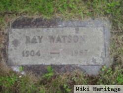 Ray Watson