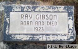 Ray Gibson