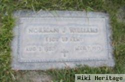 Norman J. Williams