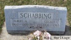 Cecelia C Schabbing