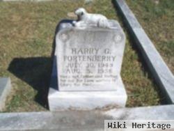 Harry G Fortenberry