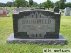 William Andrew Brumfield