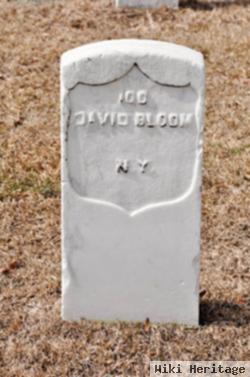 Pvt David Bloom