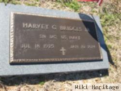 Harvey G Bridges, Jr