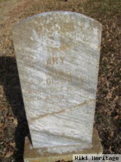 Mary Eva Willmon Dilworth