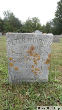 Peter Widrick, Jr