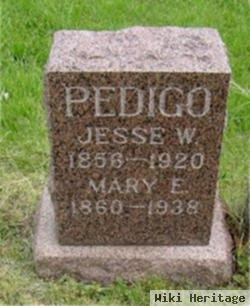 Mary E. Mull Pedigo