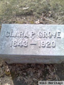 Clara P Grove