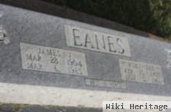 James Vernon Eanes