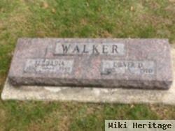 Dilver Walker