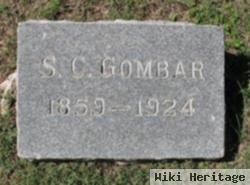 S C Gombar