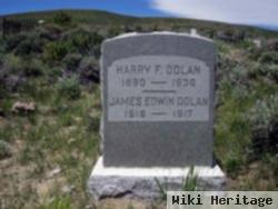 Harry Falvey Dolan