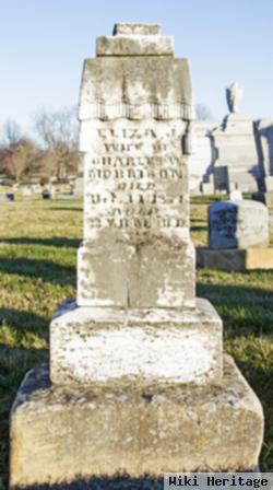 Eliza J. Evans Morrison