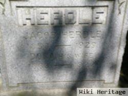 Dora Herdle