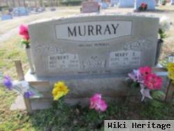 Mary E Murray