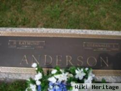 H Raymond Anderson