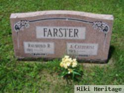 Raymond Robert Farster