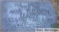 Anne Elizabeth Leavitt