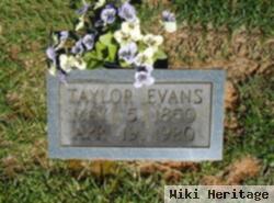 Taylor Evans