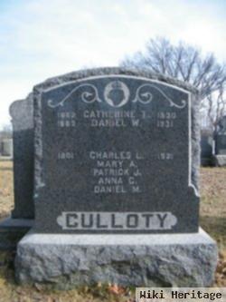 Daniel M Culloty