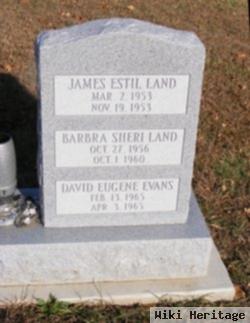 James Estil Land