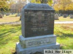 Regina A. Driscoll