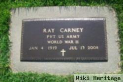 Ray Carney