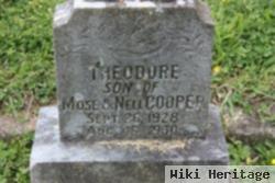 Theodore Cooper