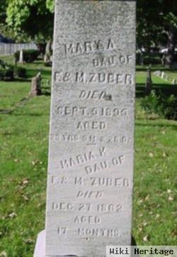 Mary A. Zuber