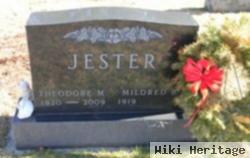 Theodore M Jester