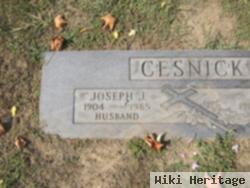 Joseph J Cesnick