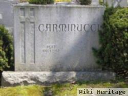 Bert Carminucci