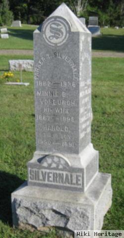 Minnie B. Vosburgh Silvernale