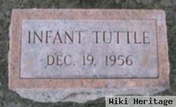 Infant Tuttle