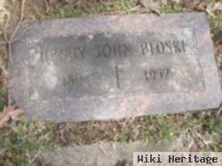 Henry John Ploski