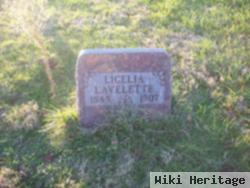 Licelia Lavelette