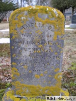 Amelia O Jenkins