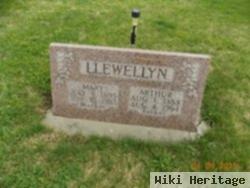 Mary Llewellyn