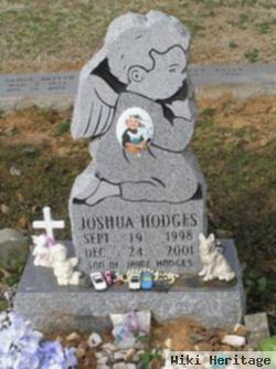 Joshua Hodges