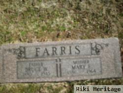 Mary E Brasher Farris