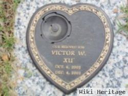 Victor W Xu
