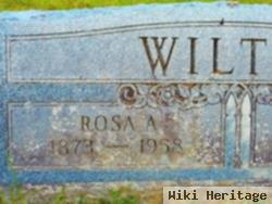 Rosa Amy Abbott Wiltse