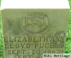 Elizabeth Ann Lloyd Pucell