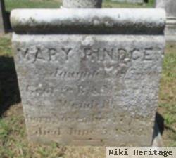 Mary Rindge Wendell