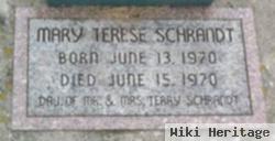 Mary Terese Schrandt