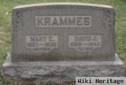 David J Krammes