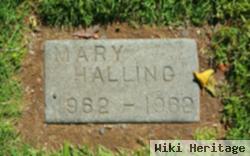 Mary T Halling